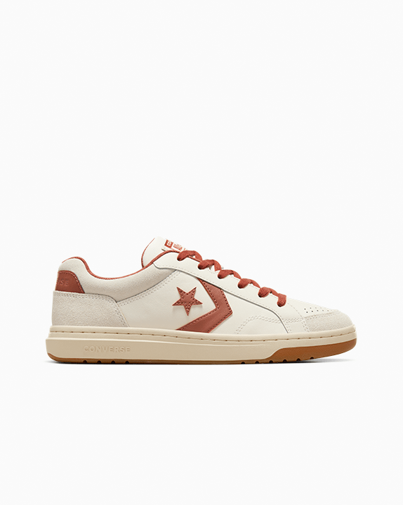 Pro Blaze Classic Leather and Suede